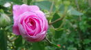 DSC02276