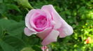 DSC02280