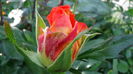 DSC02258