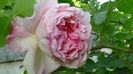 DSC02261