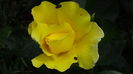 DSC02408