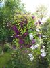 20160514_182251