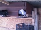 IMG-20160512-WA0046