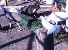 IMG-20160512-WA0045