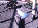 IMG-20160512-WA0048