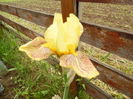 082