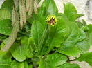 DSCN8569