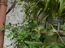 DSCN8576