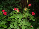 DSCN8613