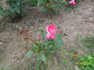 SAM_3040