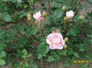 SAM_3041