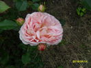 SAM_3042