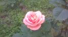 WP_20160514_14_09_52_Pro