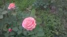 WP_20160514_14_09_57_Pro