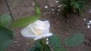 WP_20160514_14_11_36_Pro