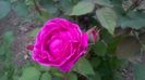 WP_20160514_14_11_50_Pro