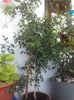 20160516_190028
