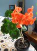 20160509_154236