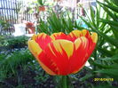SAM_2833