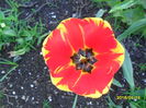 SAM_2834