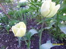 SAM_2835