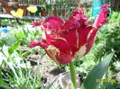 SAM_2837