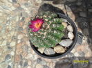 SAM_2752