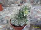 SAM_2780