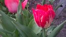 WP_20160406_16_05_27_Pro