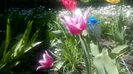 WP_20160416_12_26_15_Pro