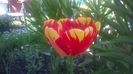 WP_20160416_12_26_36_Pro