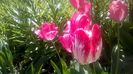 WP_20160416_12_28_16_Pro
