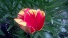 WP_20160419_07_14_23_Pro