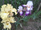 20160516_070508