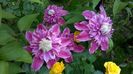 WP_20160516_023