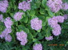CIMG0028