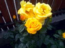 IMG_20160517_112800