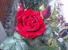 IMG_20160517_112856
