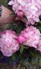 20160517_124444
