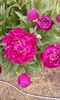20160517_123800
