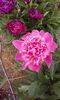 20160517_123749