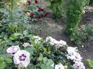 20160515_174616[1]