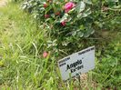 20160516_151659