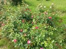 20160516_151653