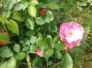 20160516_151648