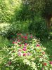 20160516_150239
