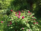 20160516_150233