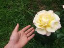20160516_151613