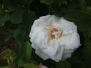 20160516_151301