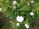 20160516_151257